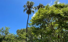 Peaches & Cream Bed & Breakfast