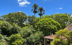 Peaches & Cream Bed & Breakfast